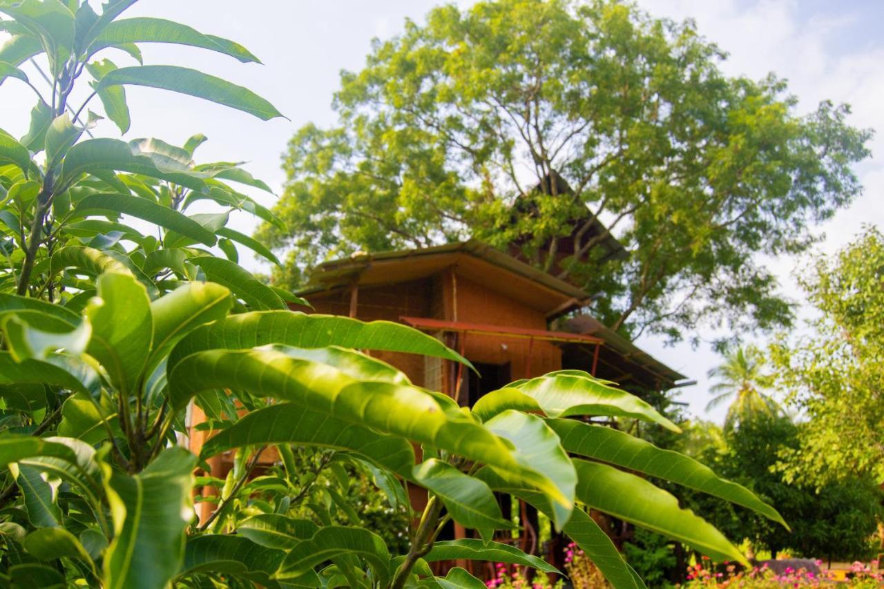 Anushka Nera Nature House สิกิริยา ห้อง รูปภาพ